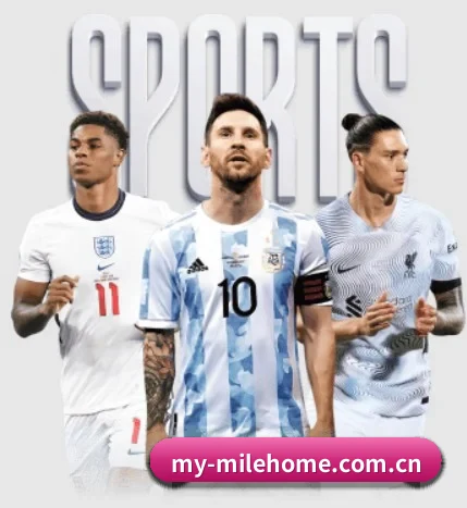 五大服务分区,信息按项目分类 - 多运动项目内容板块